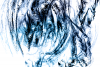 Download von julian