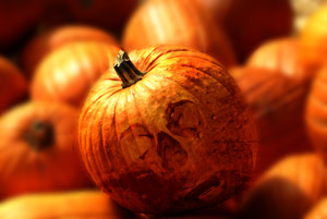 Halloween Kürbis