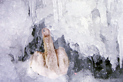 Eingefrorene hand in einem eisblock